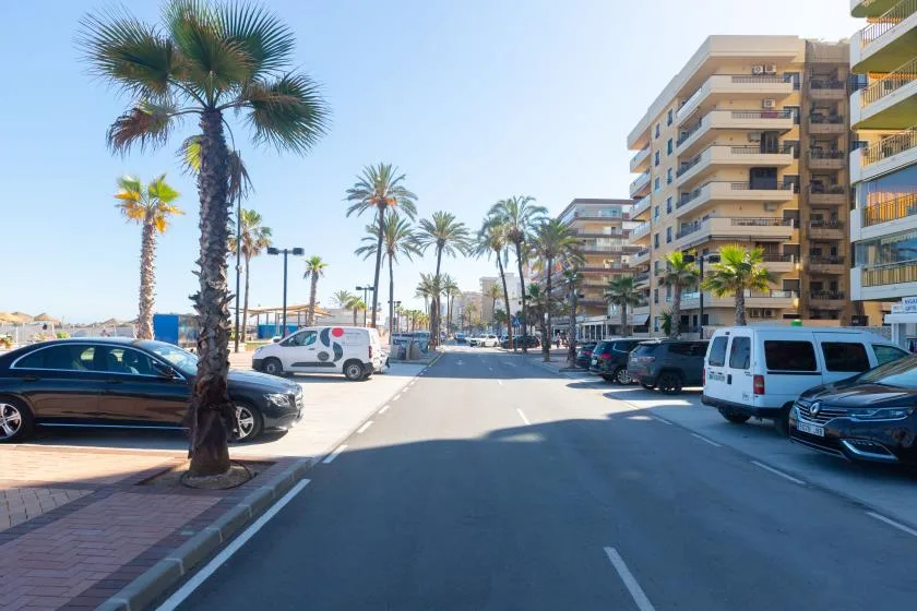 A palm-lined street runs between parked cars and apartment buildings.
