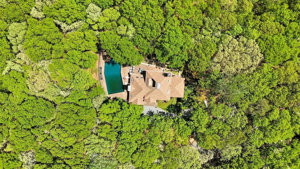 Vista aérea de una casa y una piscina rodeadas de árboles frondosos.
