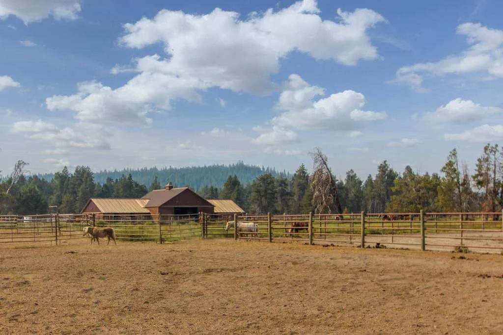 Un corral cercado con un caballo está frente a un granero y colinas boscosas.