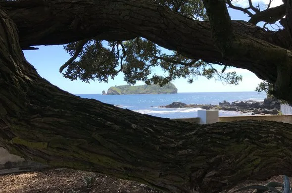 Vista del alojamiento