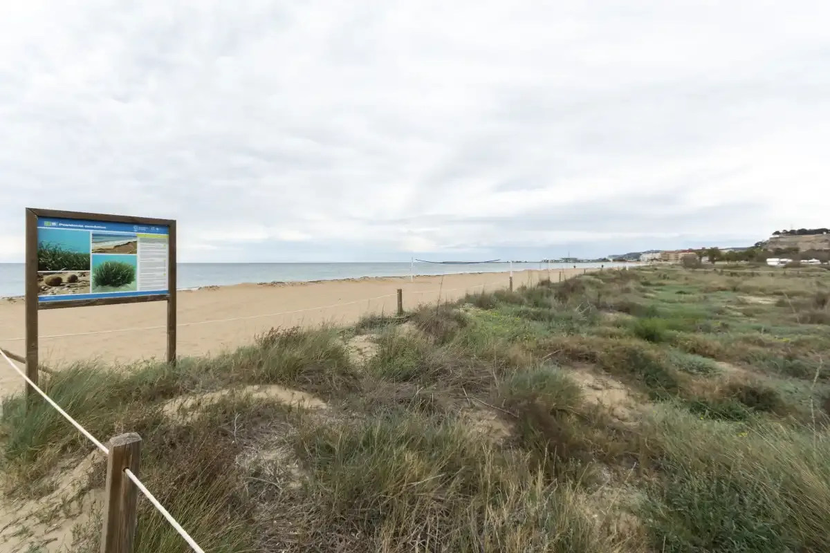 A sandy beach borders low dunes and coastal vegetation beneath a cloudy sky.