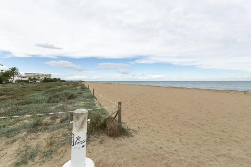 A sandy beach stretches beside coastal vegetation and calm water.