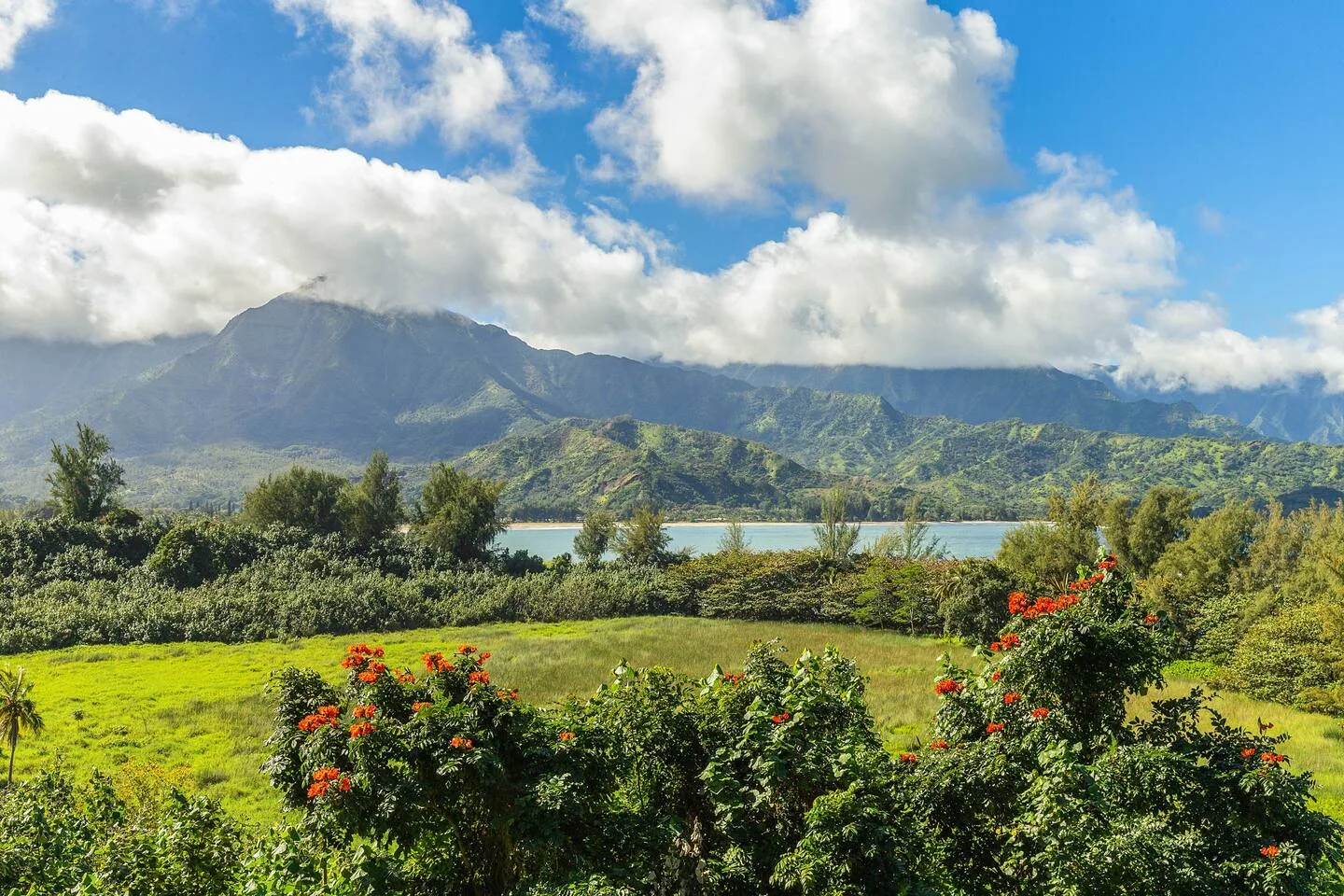 A green landscape with flowering shrubs, a lake, and mountains beneath a cloudy sky.