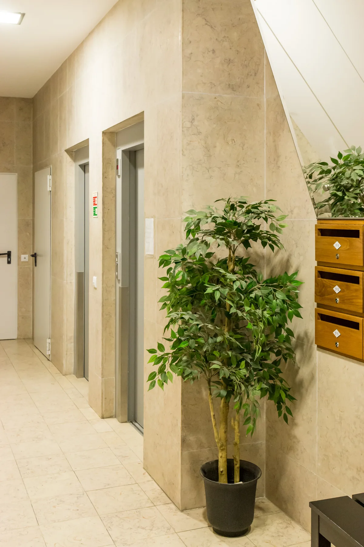 Un pasillo con suelo de baldosas, puertas de ascensor y una planta en maceta.