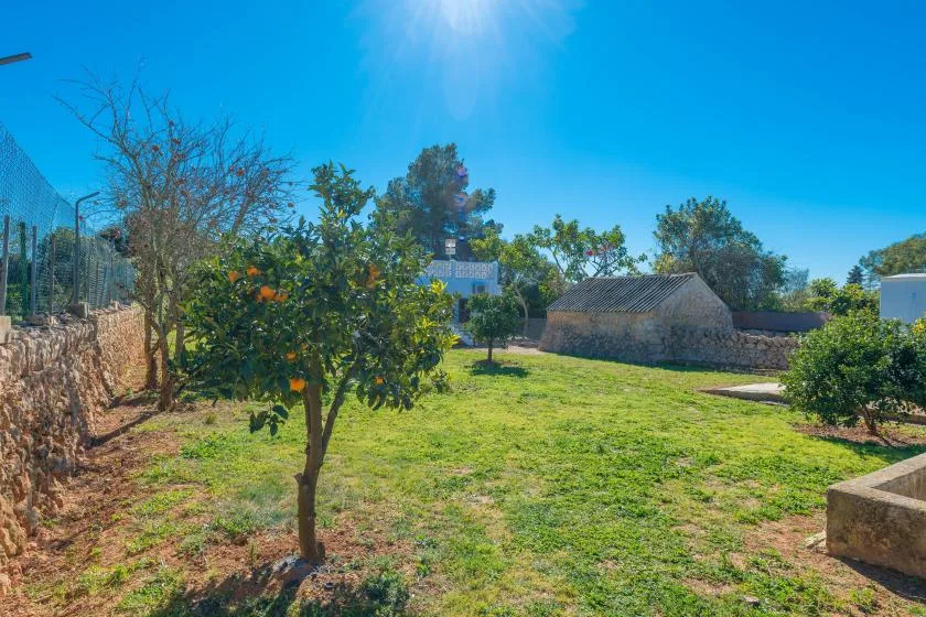 Un jardín soleado con césped, árboles pequeños y una construcción de piedra.