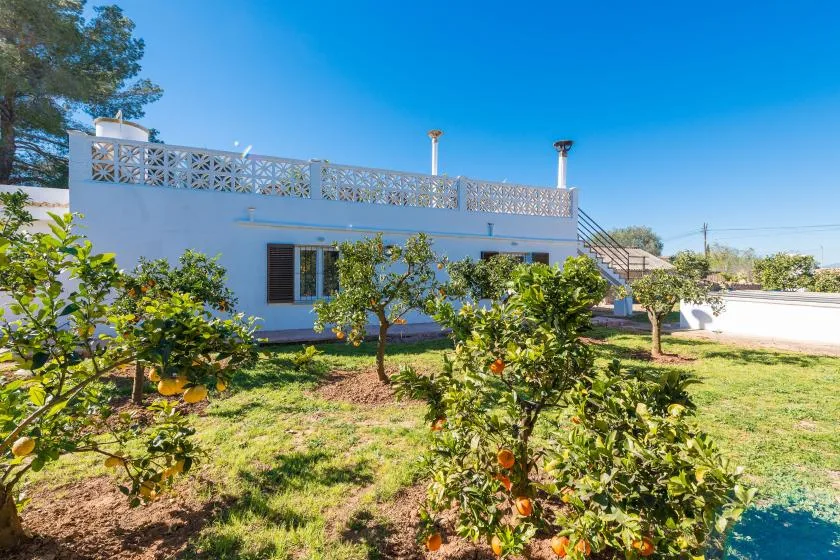 Un edificio blanco se encuentra tras un jardín soleado con cítricos y césped.