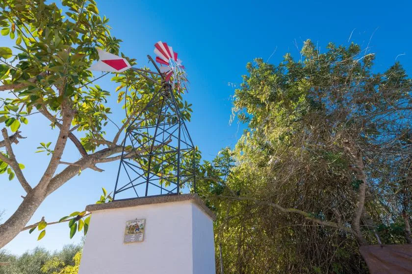 Un molino de viento al aire libre se eleva sobre una pequeña estructura blanca entre árboles frondosos.