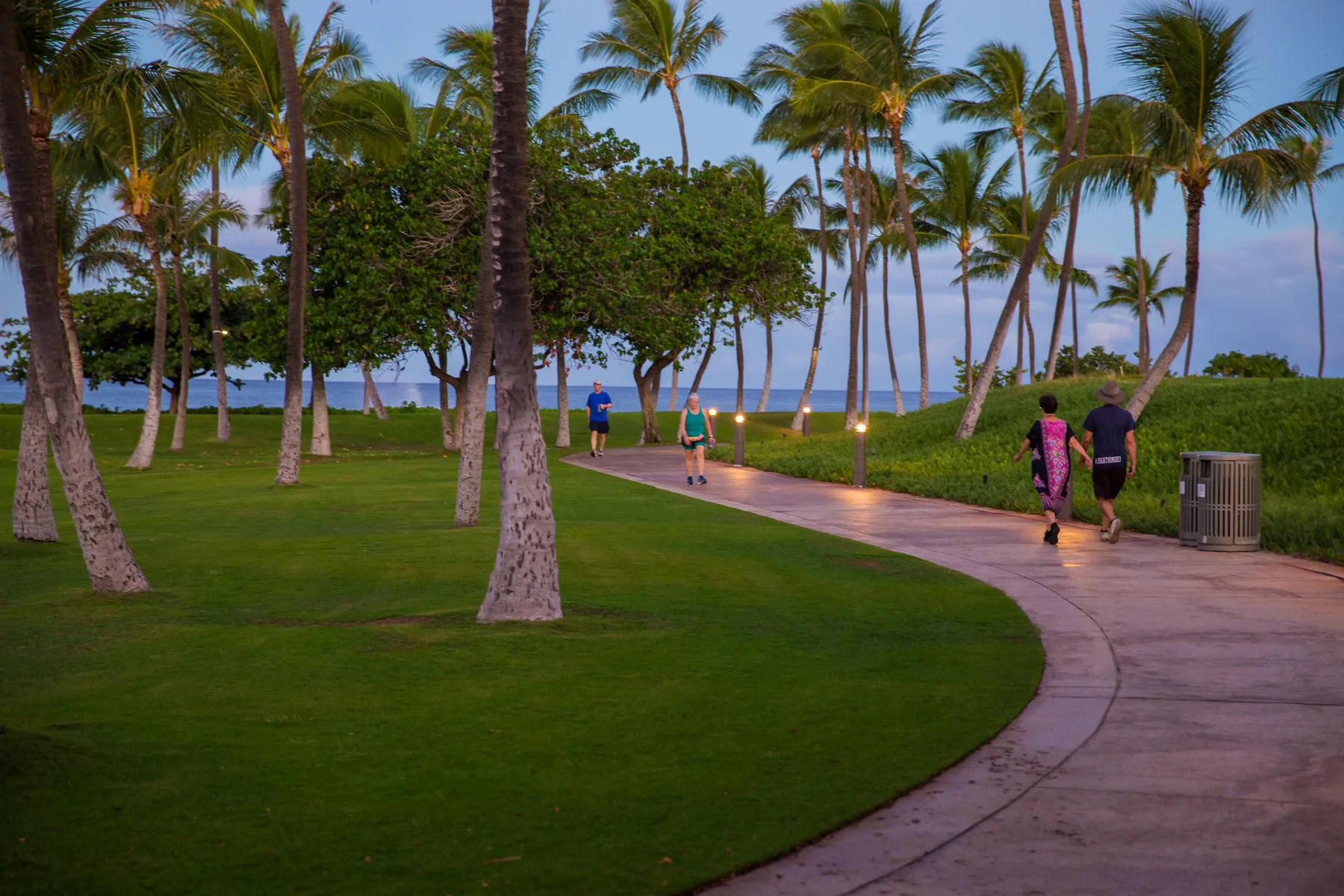 A paved path curves through a palm-lined grassy area beside the water.