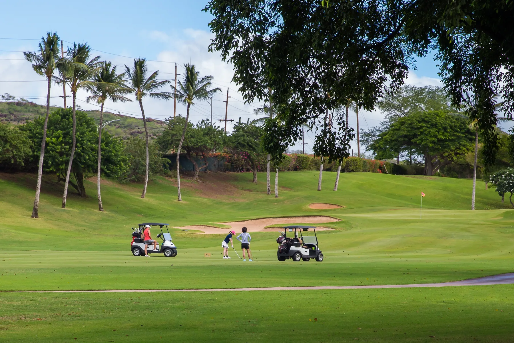 A golf course with two golf carts and golfers on the green.