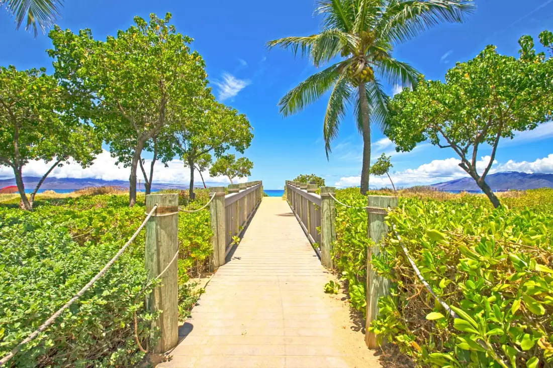 Una pasarela de madera atraviesa vegetación tropical hacia el océano.
