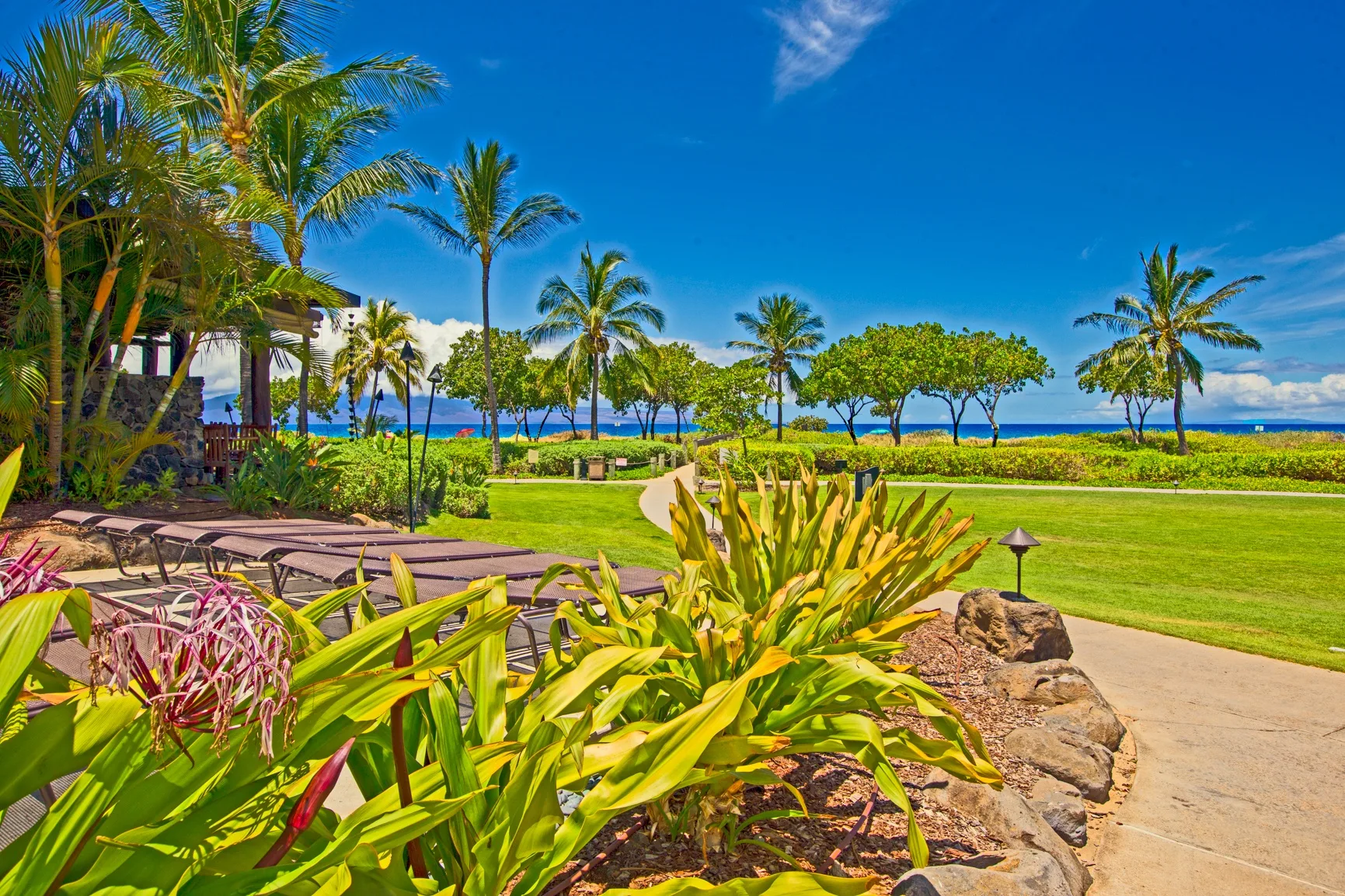 Un jardín tropical con palmeras ofrece vistas al océano.