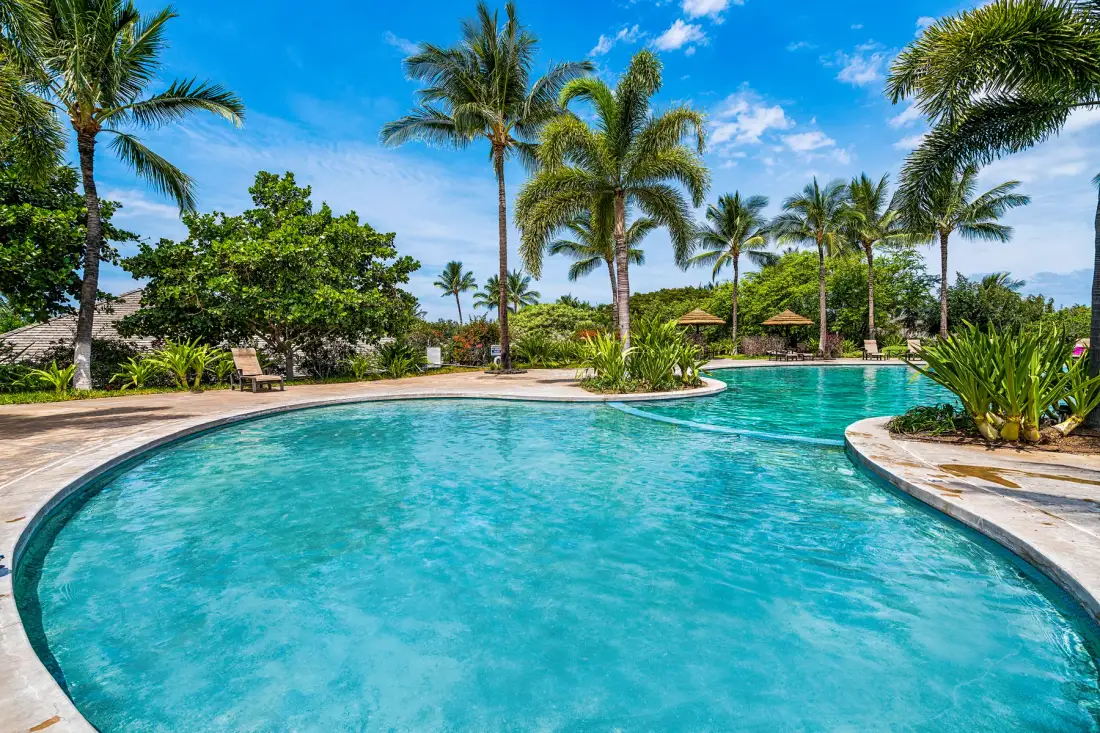 A curved outdoor swimming pool is surrounded by palm trees and tropical plants.
