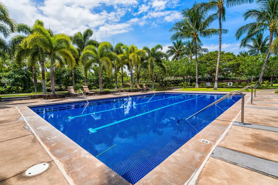 An outdoor swimming pool is surrounded by palm trees and paved decking.