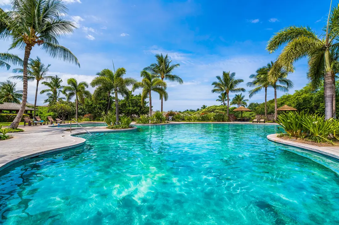 A large outdoor swimming pool is surrounded by palm trees and landscaped greenery.