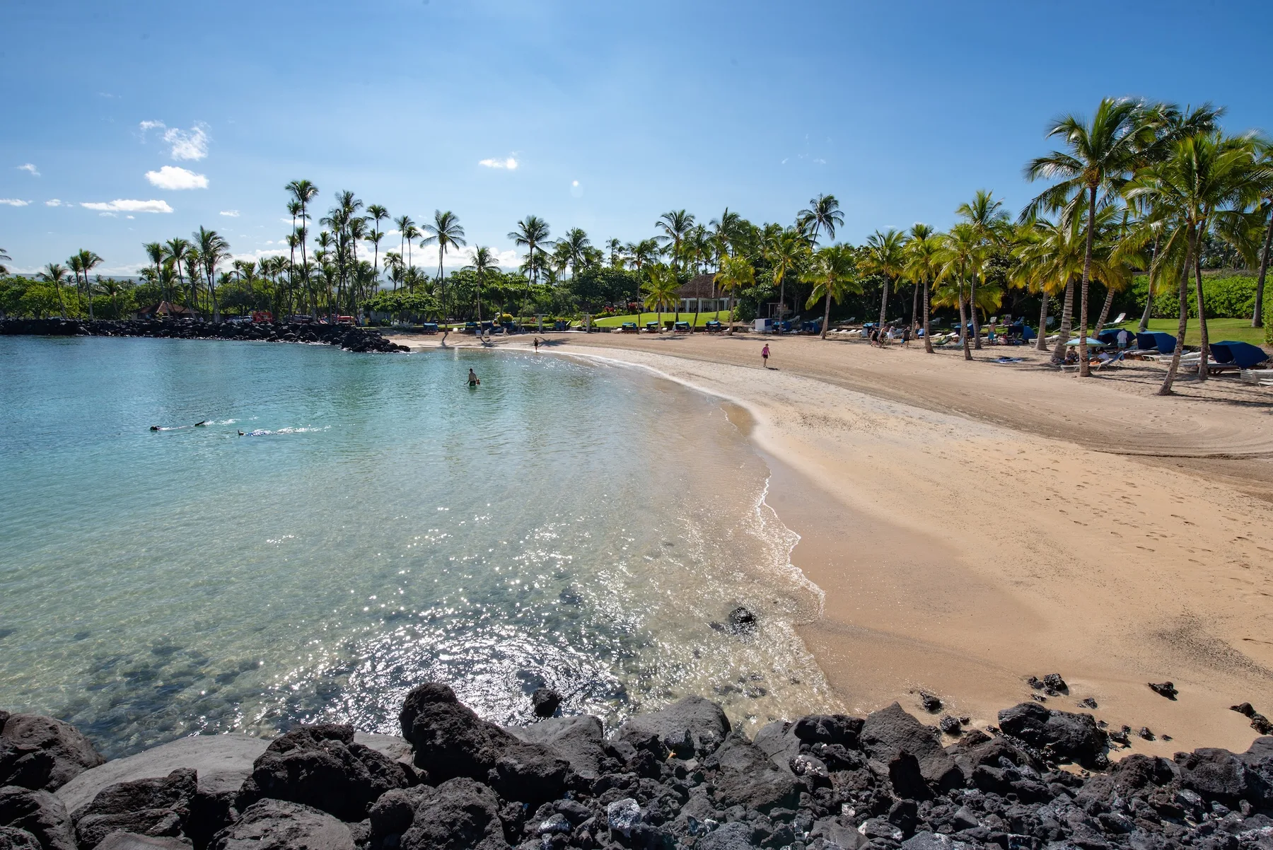 A sandy beach curves around clear water, with palm trees lining the shore.