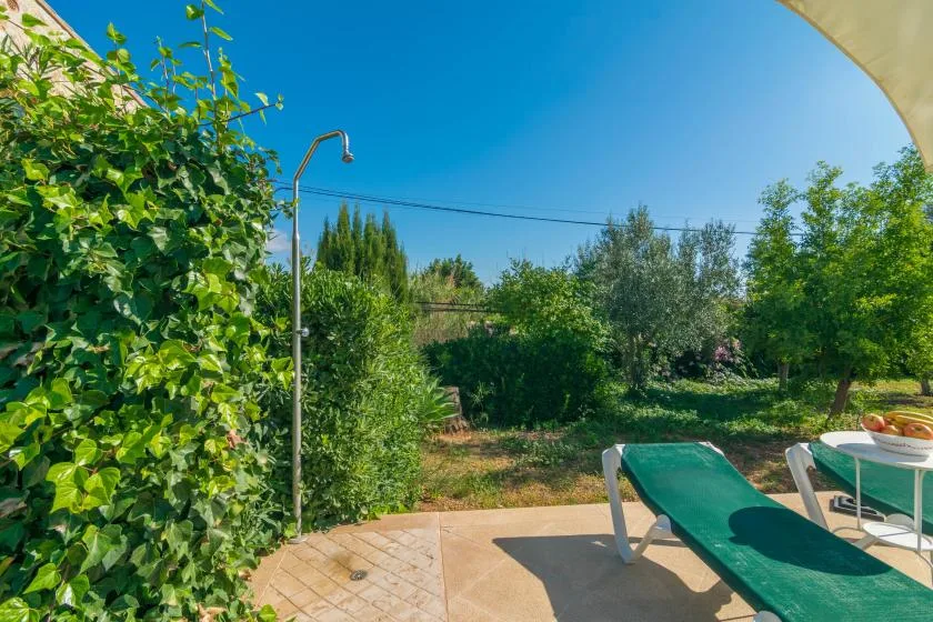 Patio exterior con una tumbona verde junto a un jardín frondoso.