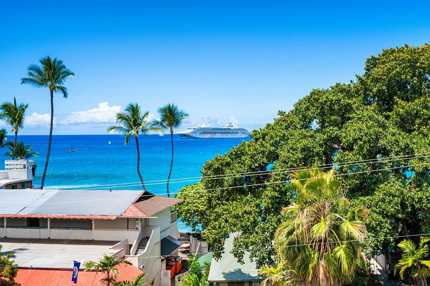 Una vista costera muestra el océano azul, palmeras y un crucero mar adentro.