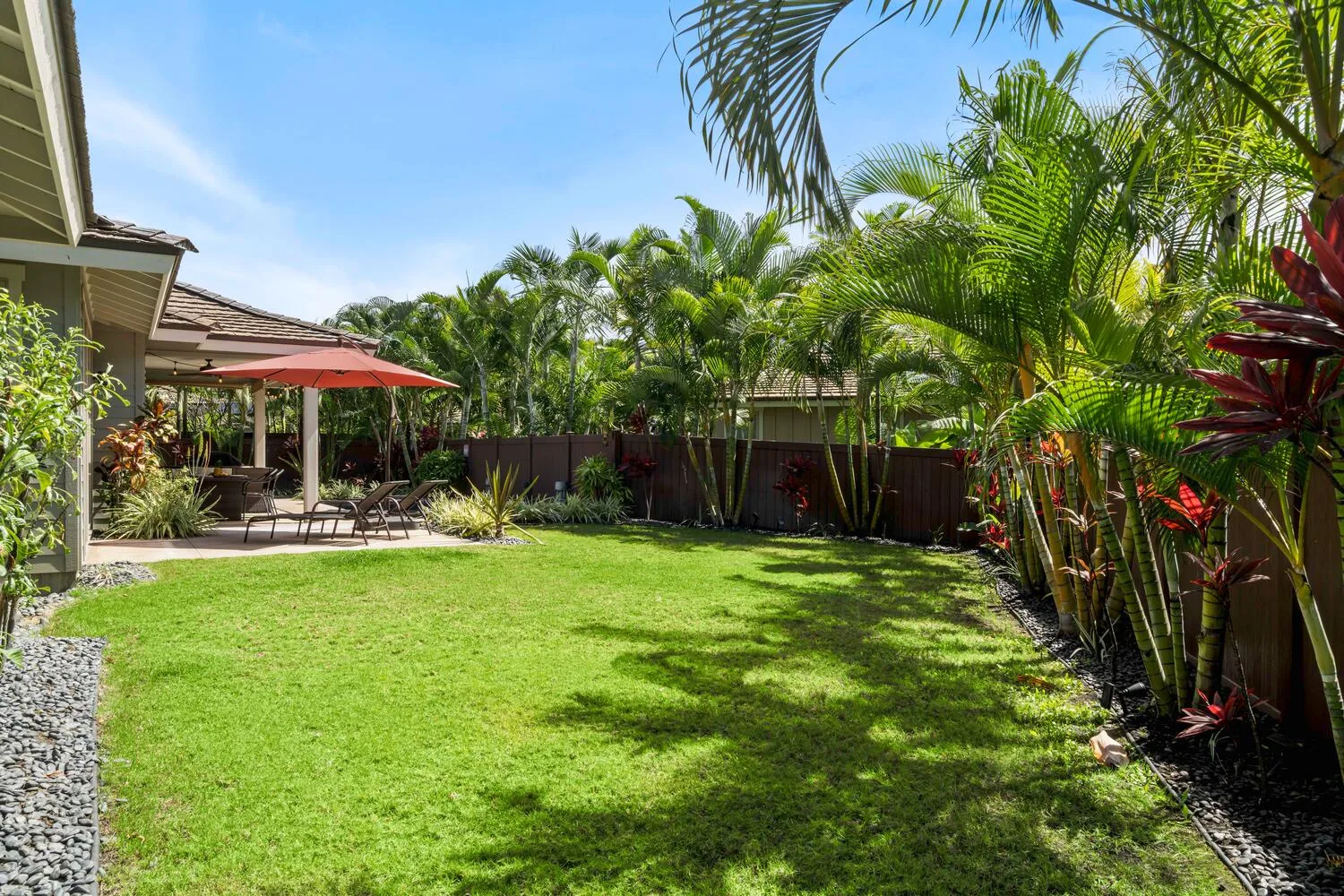 A sunny garden with a green lawn, tropical plants, and a shaded patio.