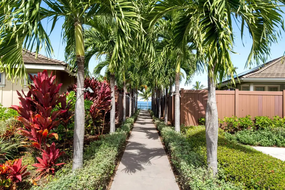 A paved walkway runs between palm trees and landscaped plants.