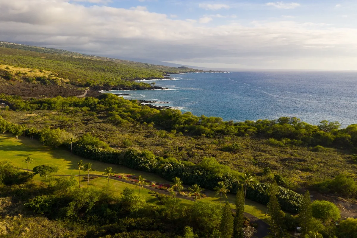 Aerial view of a green coastal landscape beside the ocean.