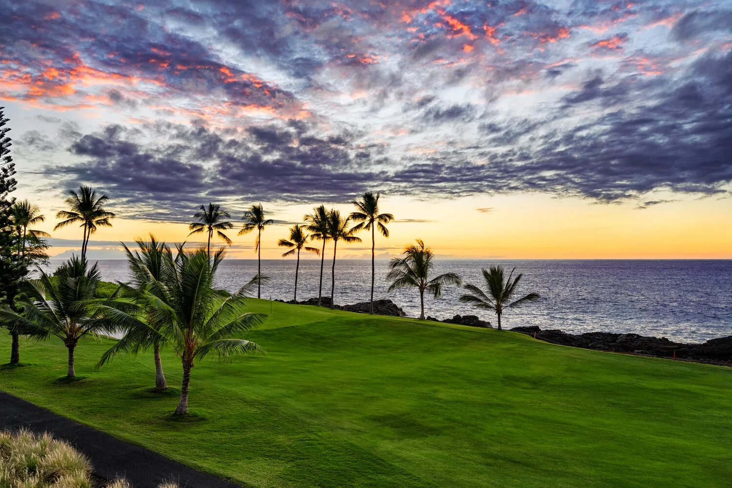 A grassy coastal lawn with palm trees overlooks the ocean at sunset.