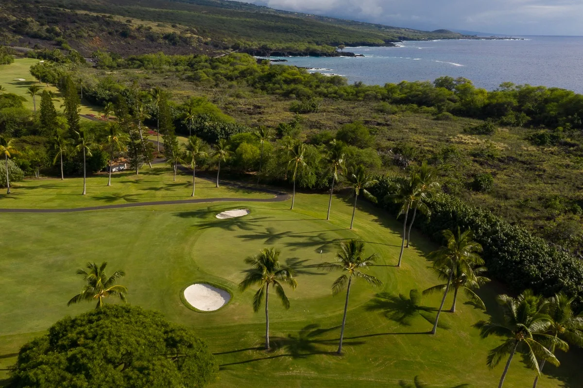 Aerial view of a coastal golf course with palm trees and the ocean beyond.