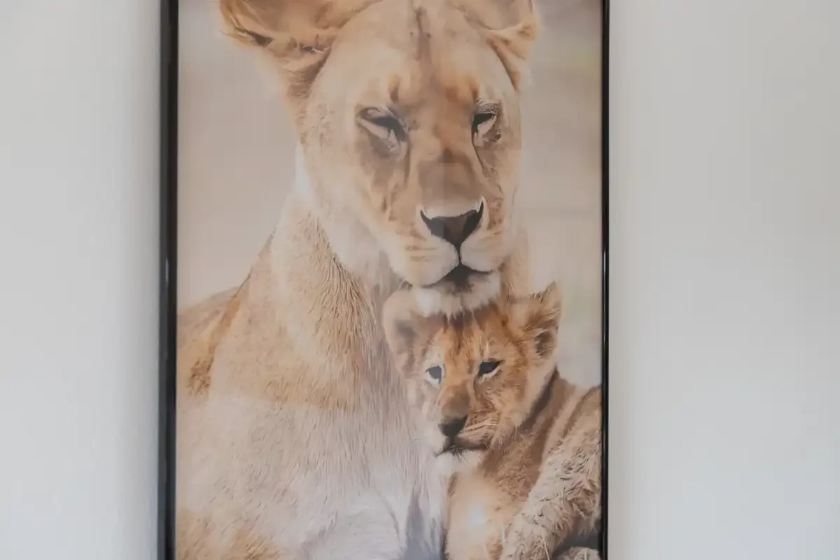 A framed picture of a lioness and cub hangs on a light-colored wall.