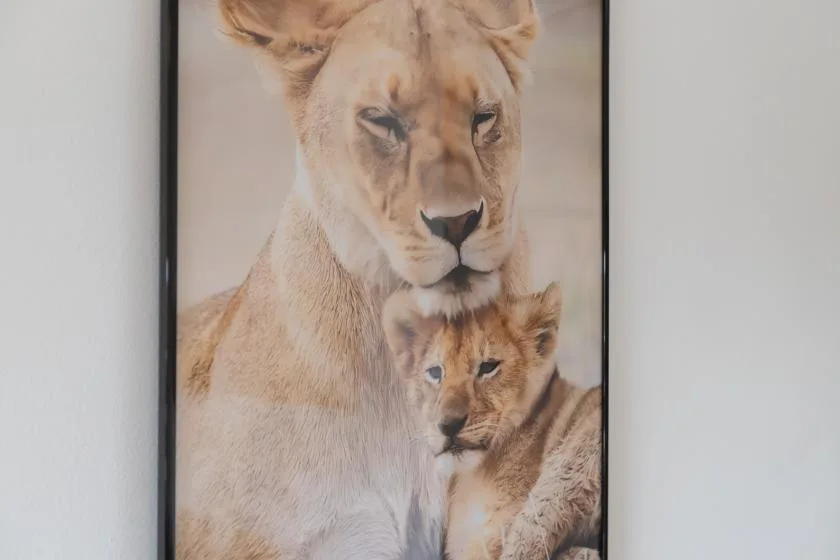 A framed painting of a lioness with a cub hangs on a light wall.