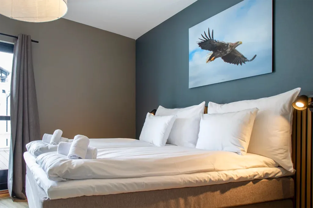 Deluxe double room with king-size bed