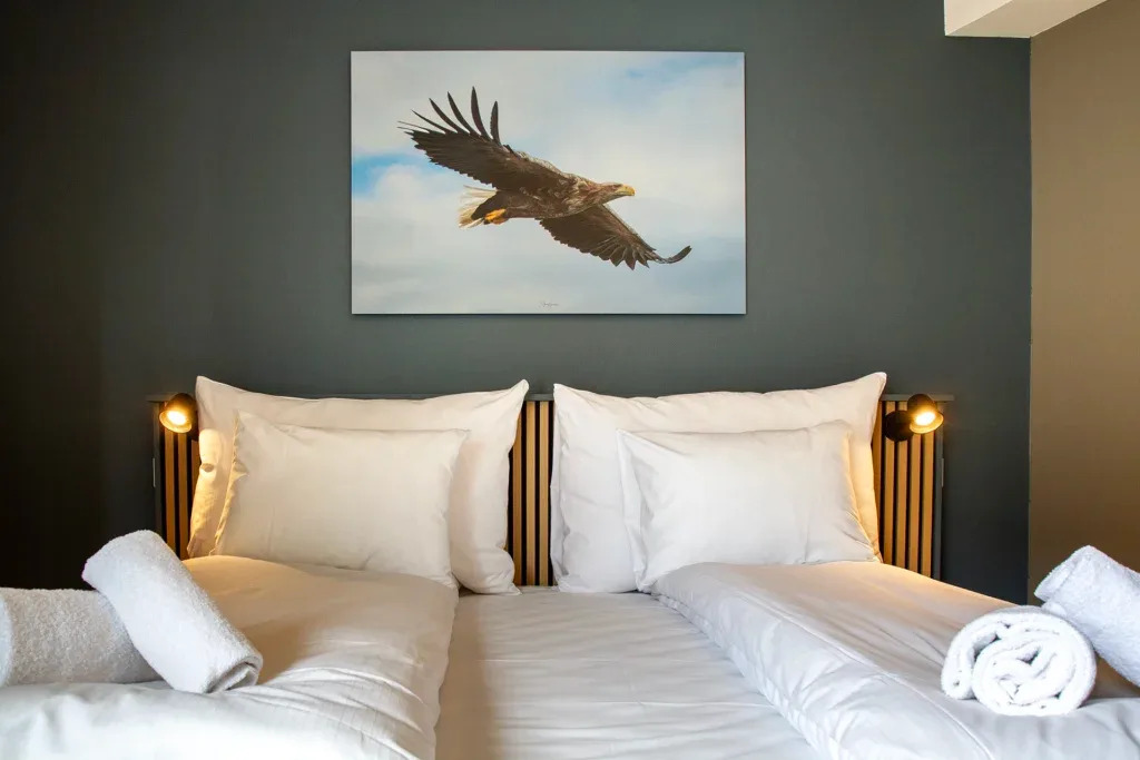 Deluxe double room with king-size bed