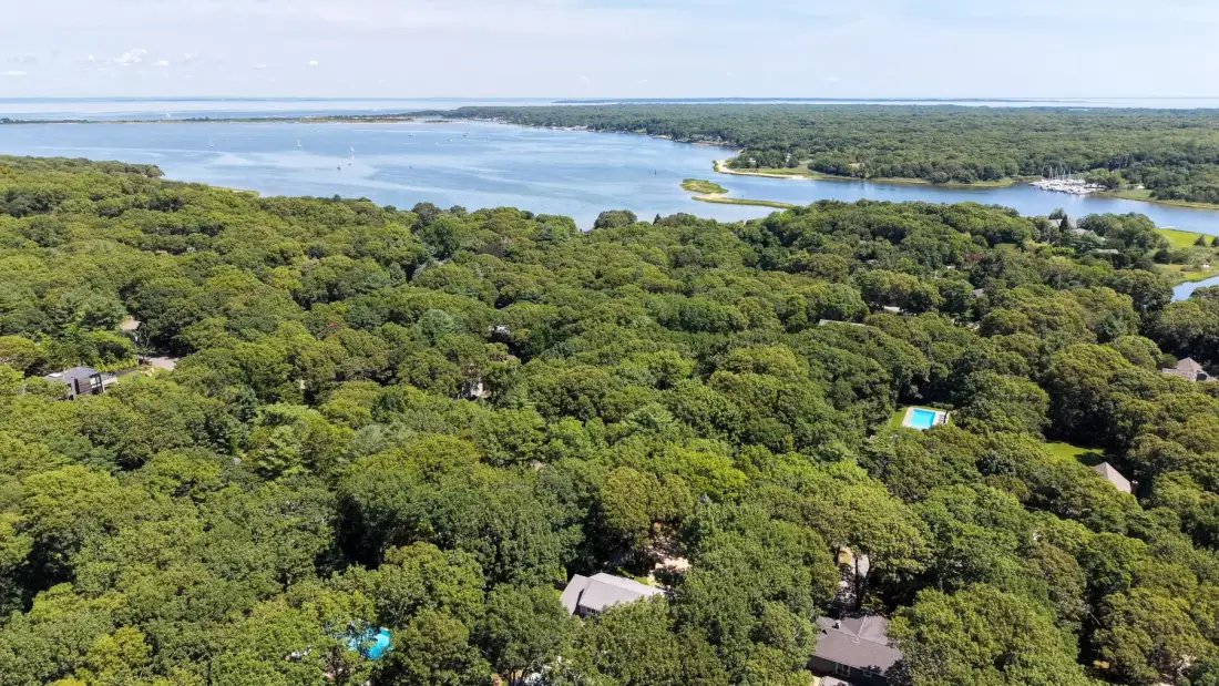 Vista aérea de un paisaje boscoso junto a una amplia masa de agua.