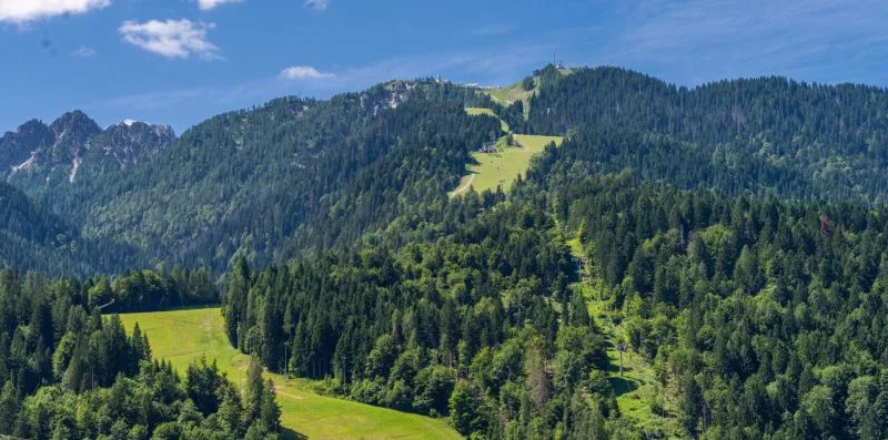 A forested mountain landscape with open green meadows beneath a blue sky.