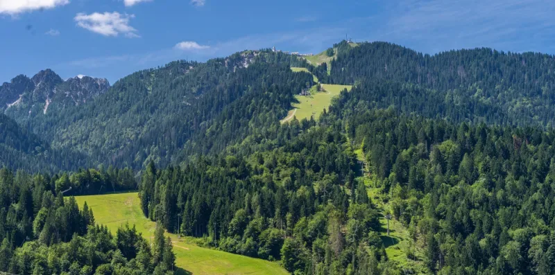 A forested mountain landscape with green ski runs beneath a clear blue sky.