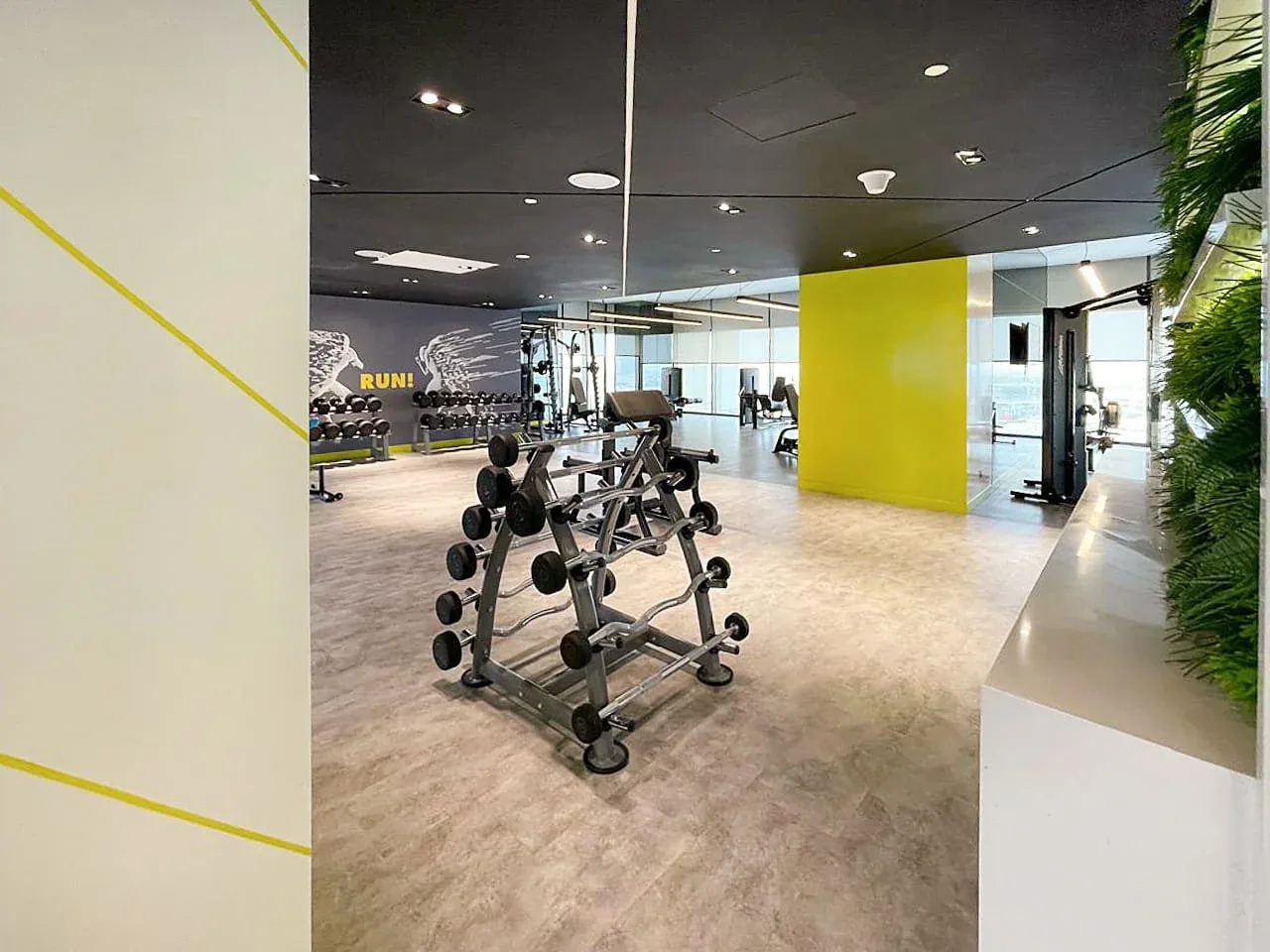 Un gimnasio luminoso con soportes de pesas, máquinas de ejercicio y una pared amarilla.