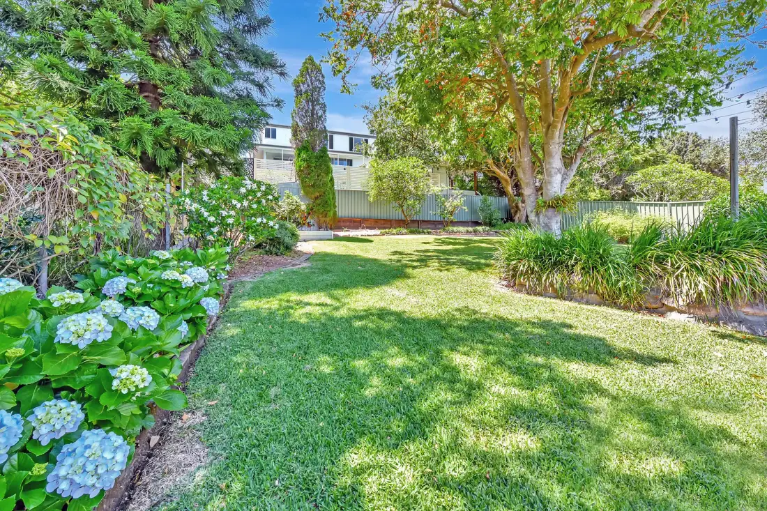 A grassy garden with leafy trees and flowering plants.