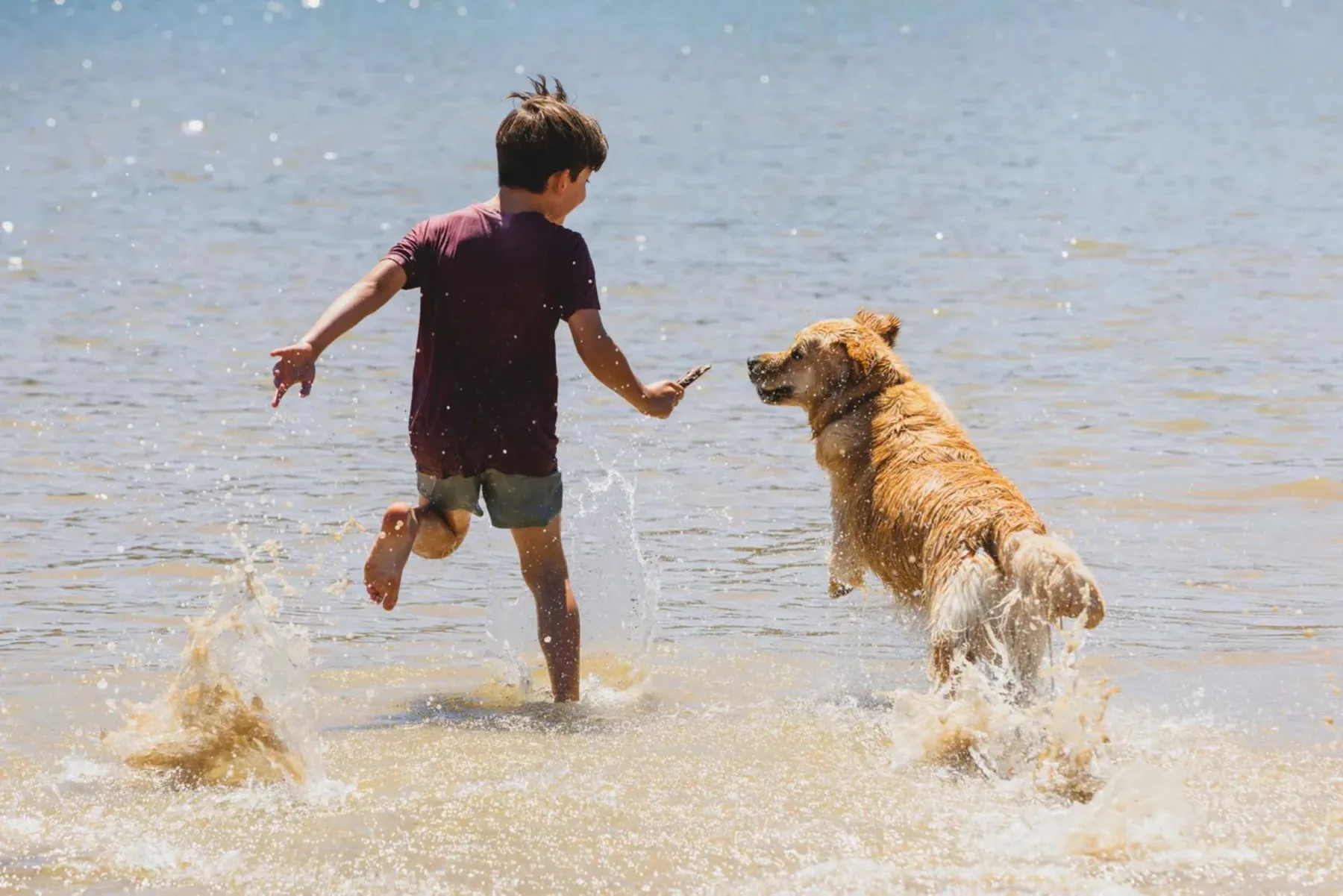 A person runs through shallow water beside a dog at the beach.