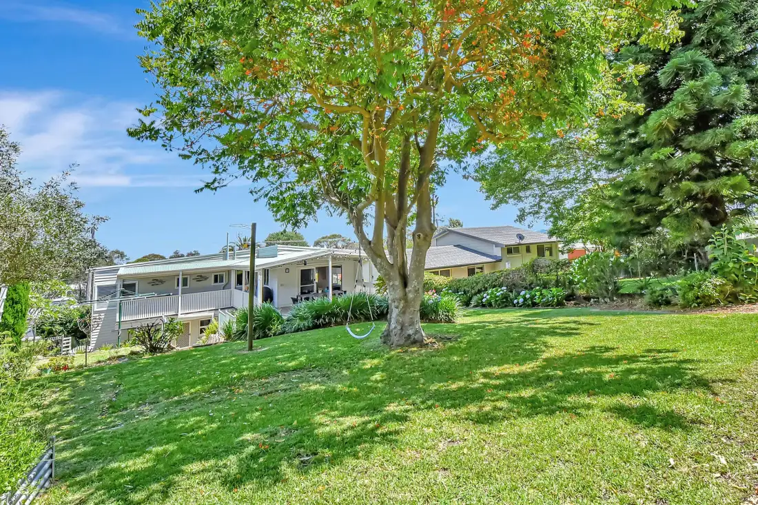 A grassy yard with a large leafy tree and houses in the background.