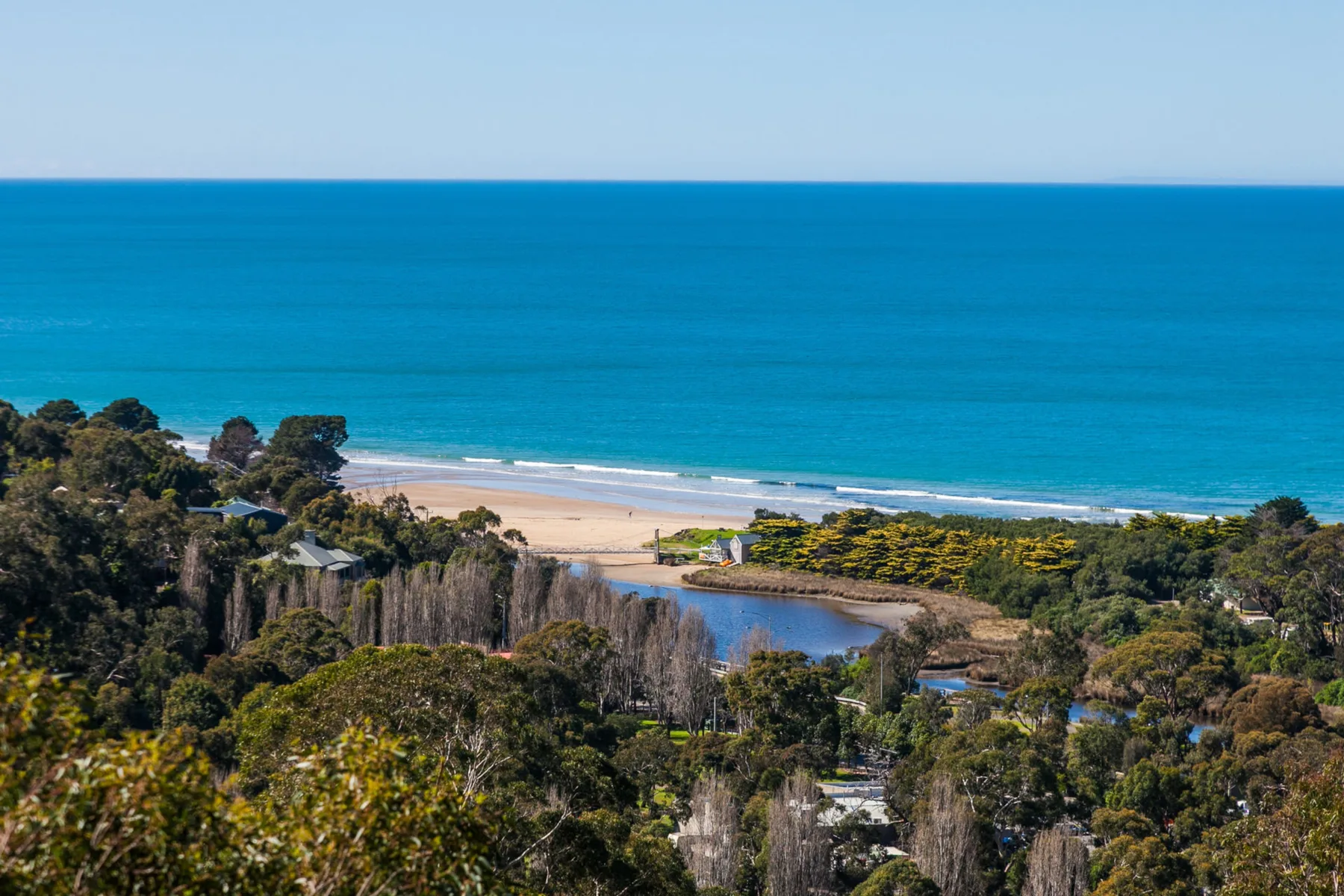 Un paisaje costero con océano, playa de arena y abundante vegetación.