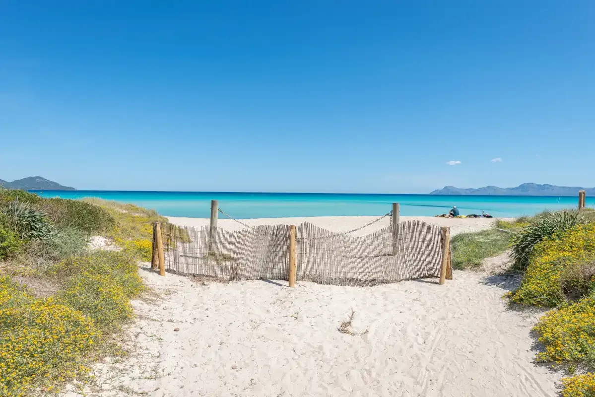 A sandy path through coastal dunes leads to a turquoise beach.