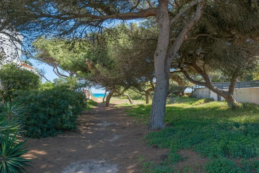 A shaded outdoor path winds through trees toward a glimpse of blue water.