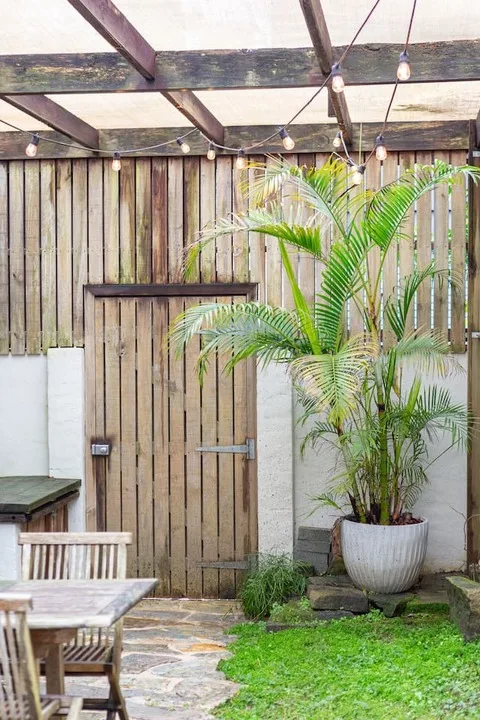 Un pequeño patio exterior con una puerta de madera, una palmera en maceta y luces colgantes.