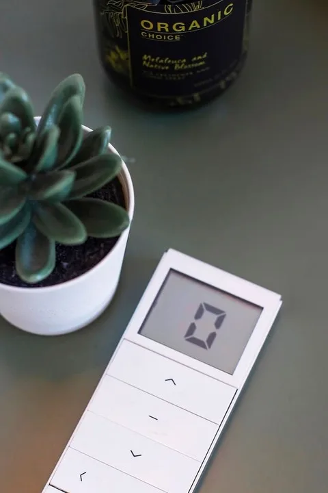 Una báscula digital está sobre una mesa junto a una suculenta en maceta.