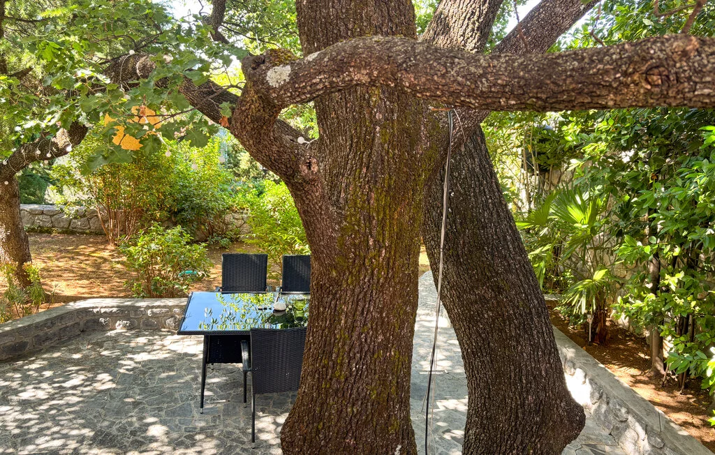 A shaded outdoor patio with a table and seating beneath a large tree.