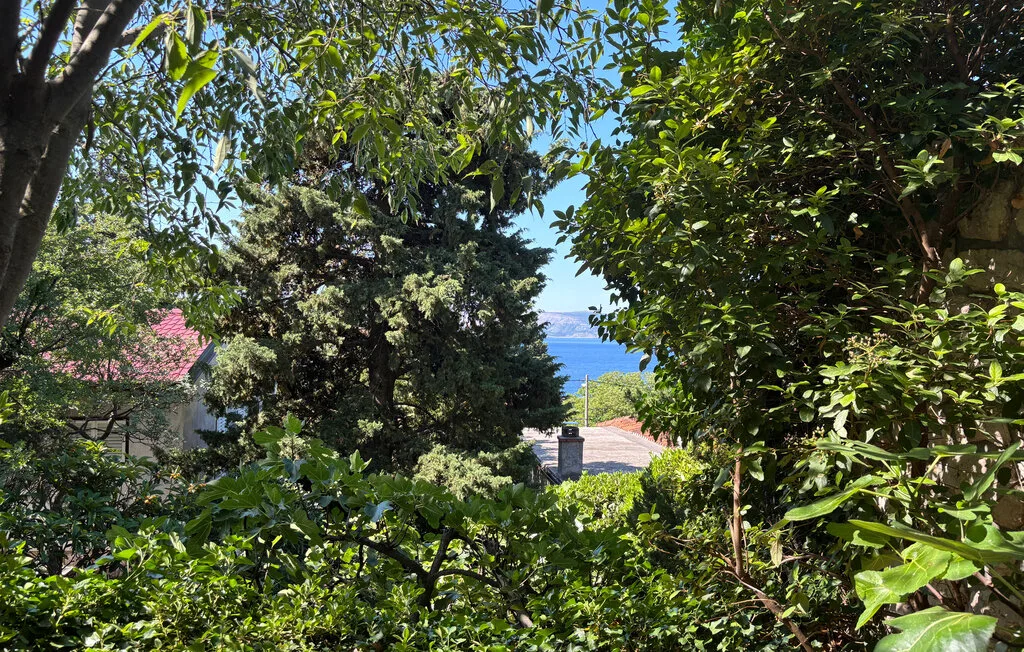 A leafy garden frames a view of the sea and nearby rooftops.