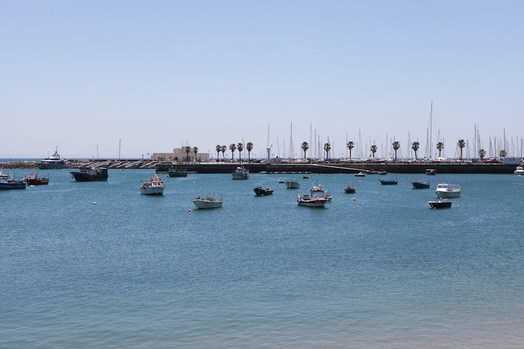 A harbor with small boats on the water and a palm-lined breakwater.
