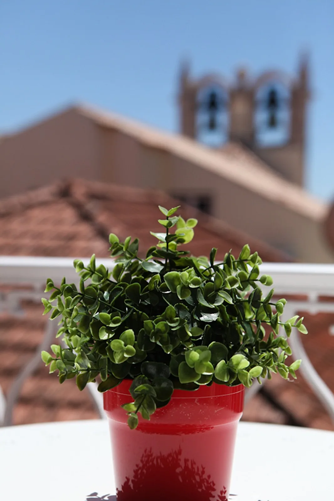 A potted green plant sits on a white table in front of red-tiled rooftops.