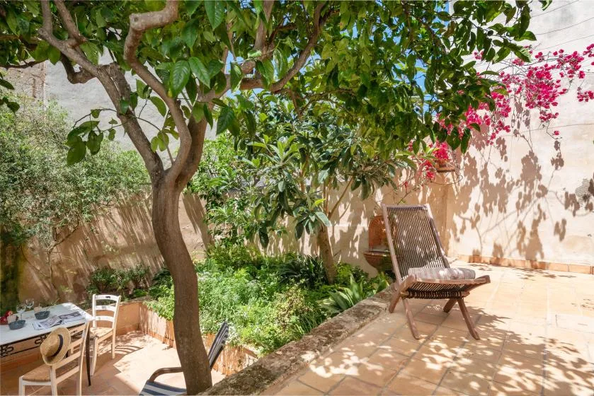 Un patio soleado con árboles frondosos, enredaderas con flores y asientos al aire libre.