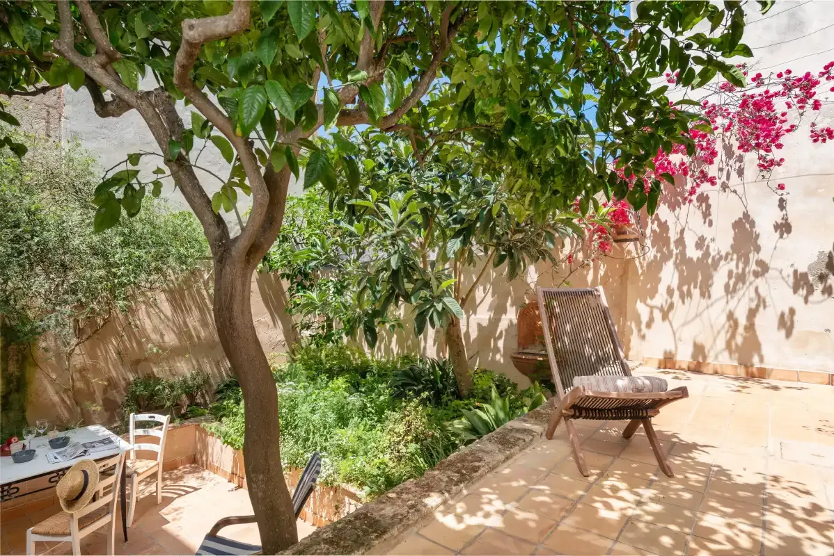 A leafy courtyard with patio seating and a paved area.