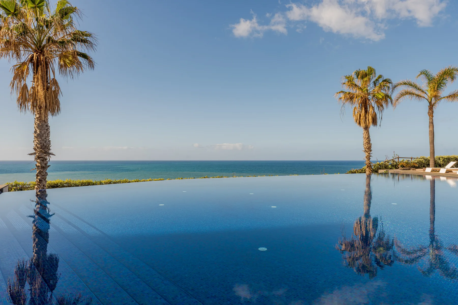An infinity pool faces the ocean, with palm trees along the edge.