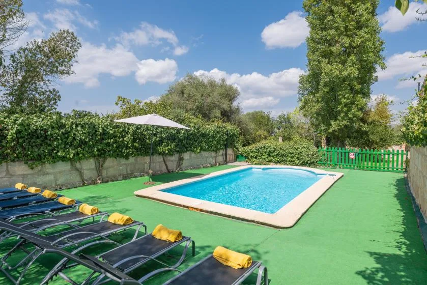 Una piscina al aire libre está junto a tumbonas y setos frondosos.